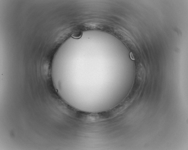 X0000115720420200911251921