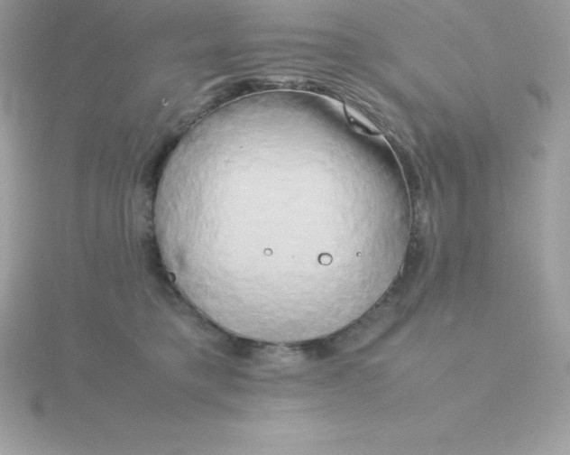 X0000115720421200911251921
