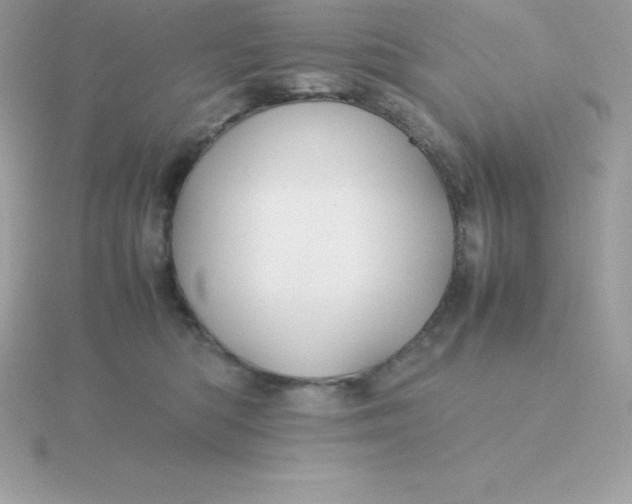 X0000115720422200911251921