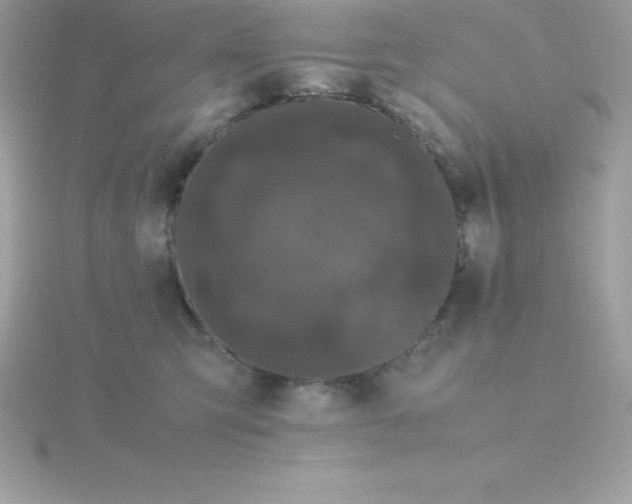X0000115720423200911251921