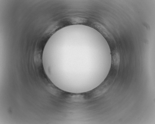 X0000115720426200911251921