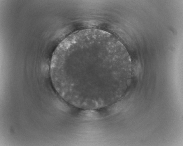 X0000115720427200911251921