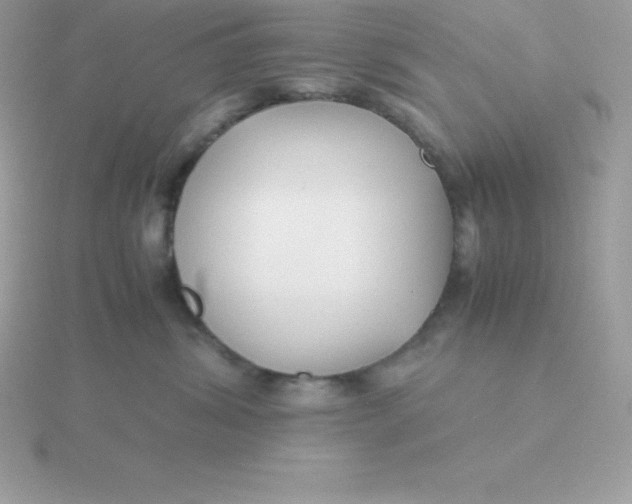 X0000115720428200911251921