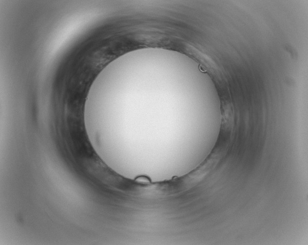 X0000115720430200911251921
