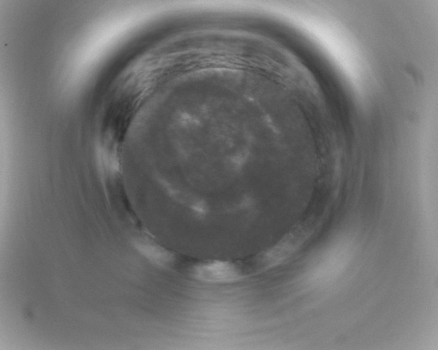 X0000115720431200911251921