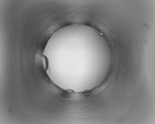 X0000115720432200911251921