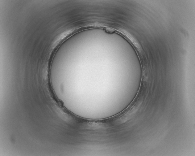 X0000115720437200911251920