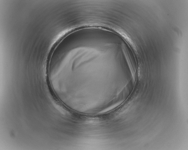 X0000115720438200911251920