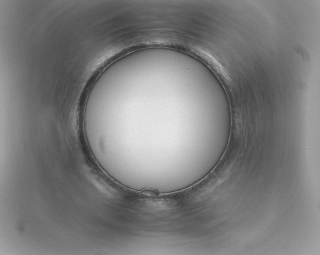 X0000115720439200911251920