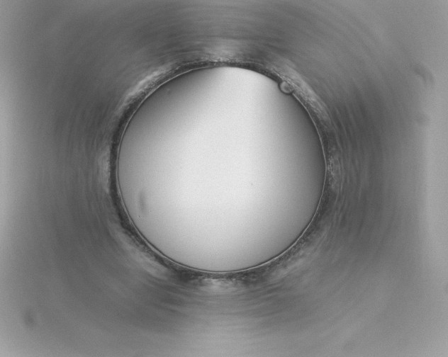 X0000115720442200911251920