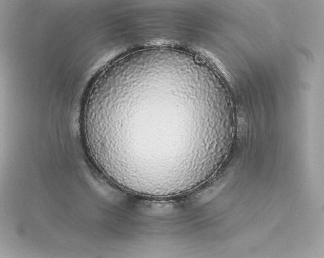 X0000115720443200911251920