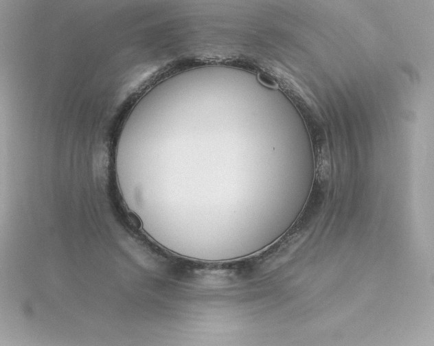 X0000115720448200911251920