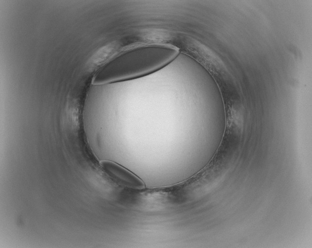 X0000115720452200911251920