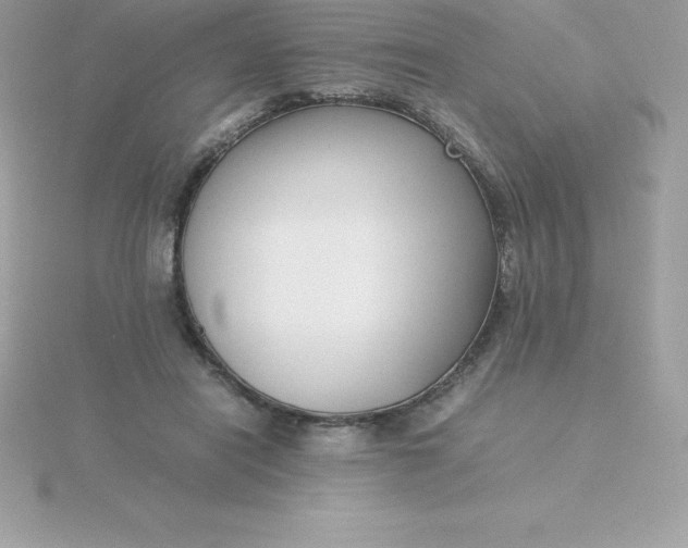 X0000115720454200911251920