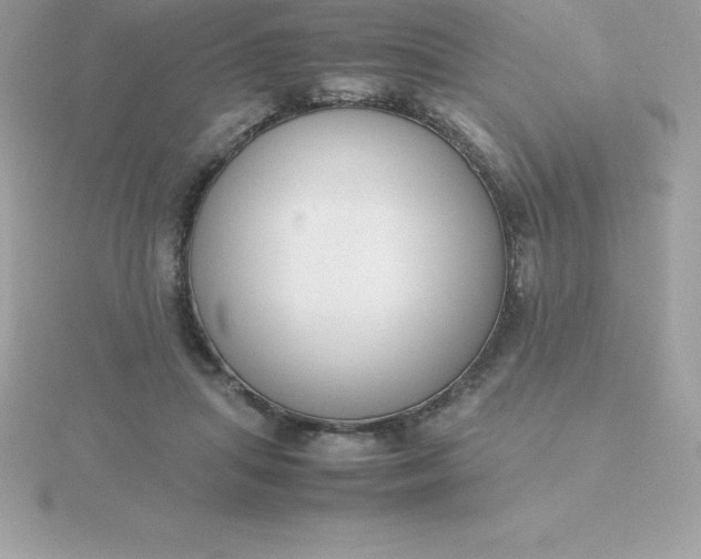 X0000115720455200911251920