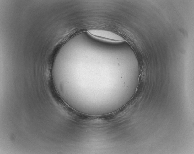 X0000115720456200911251920