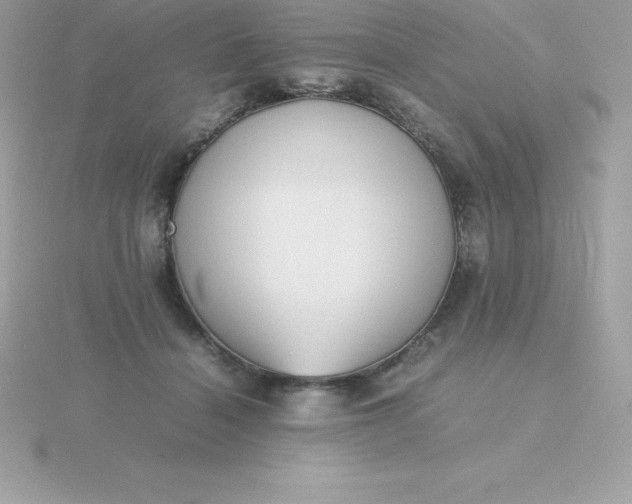 X0000115720460200911251920