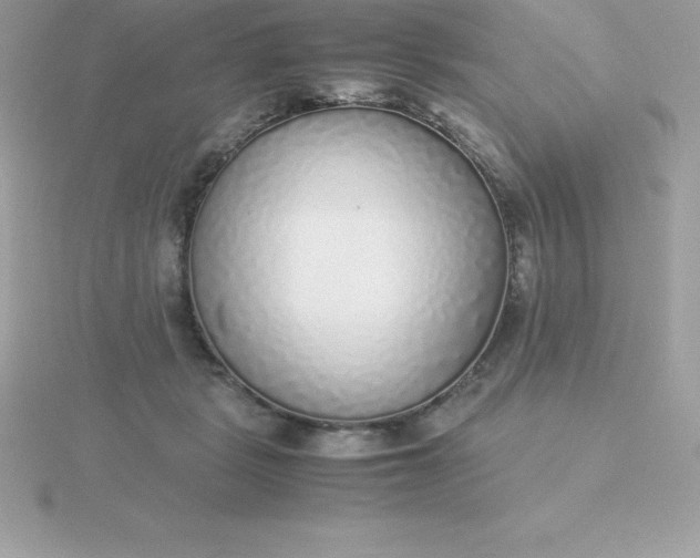 X0000115720461200911251920