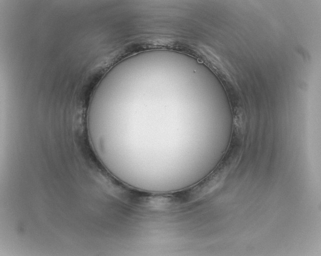 X0000115720462200911251920
