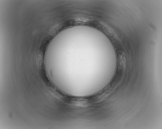 X0000115720463200911251920