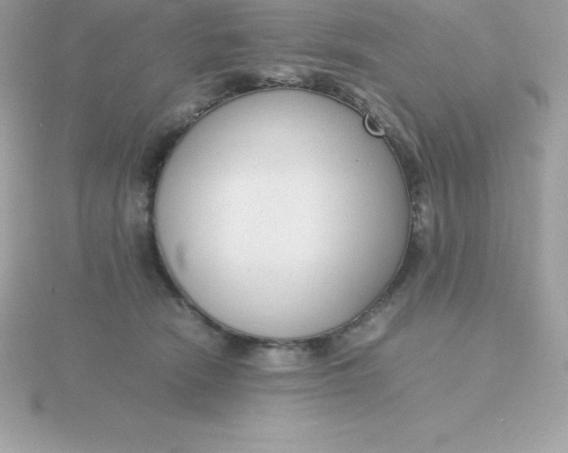 X0000115720466200911251920