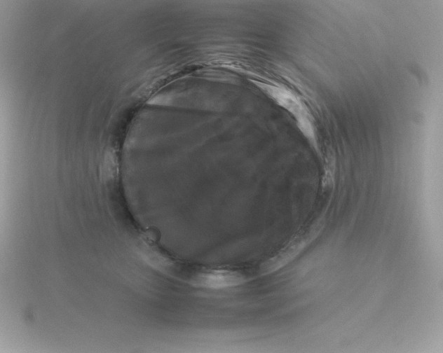 X0000115720467200911251920