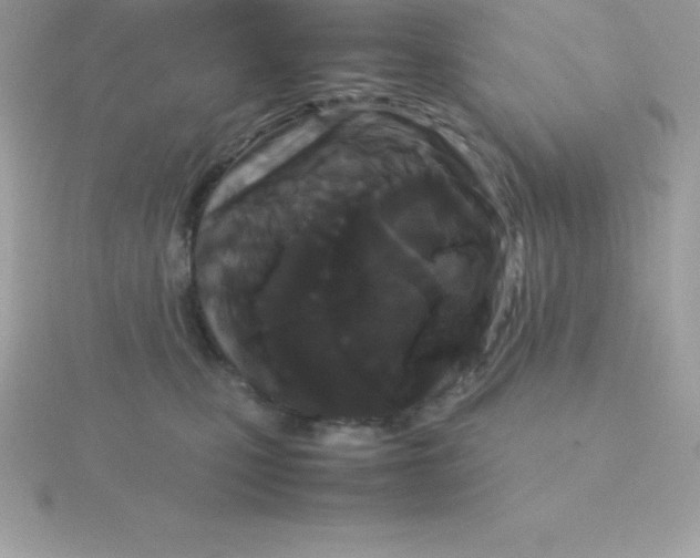 X0000115720471200911251920
