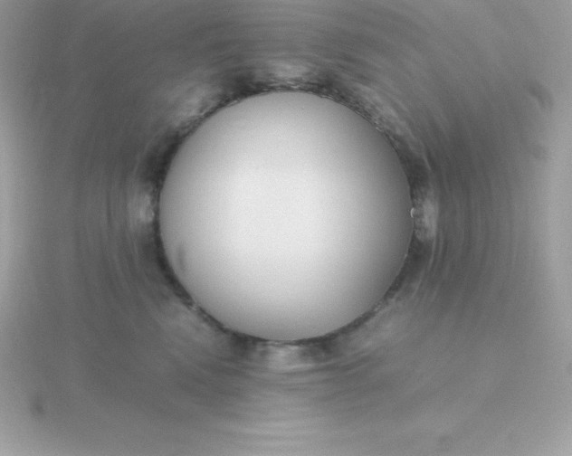 X0000115720472200911251920