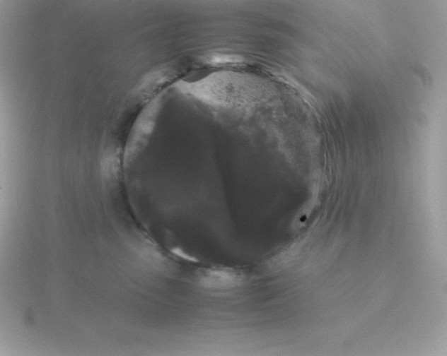 X0000115720475200911251920
