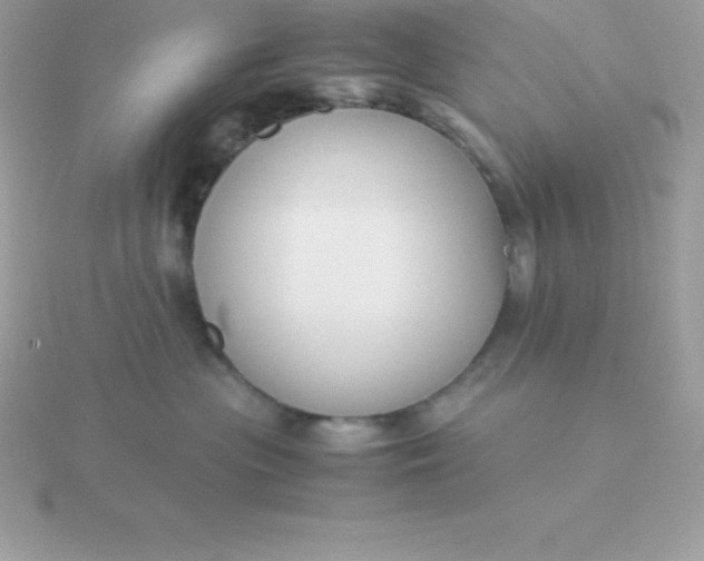 X0000115720477200911251921
