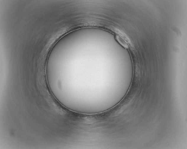 X0000115720481200911251920