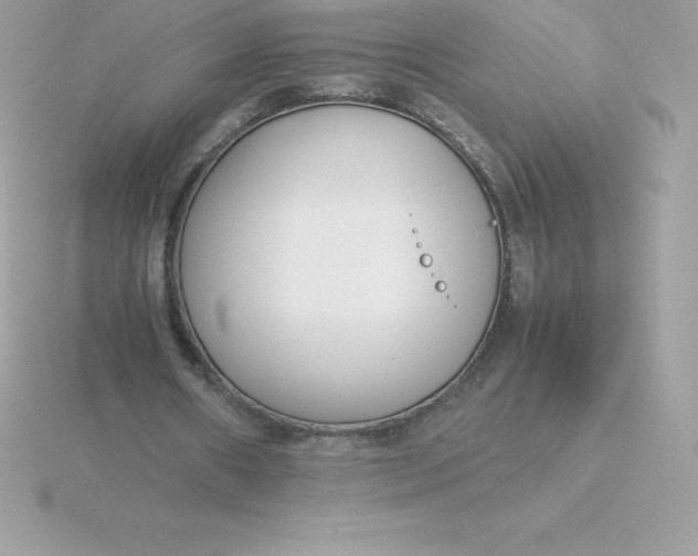 X0000115720482200911251920