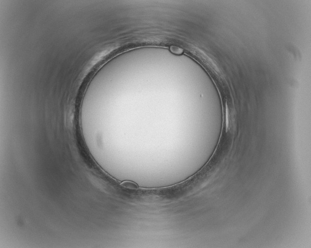 X0000115720483200911251920
