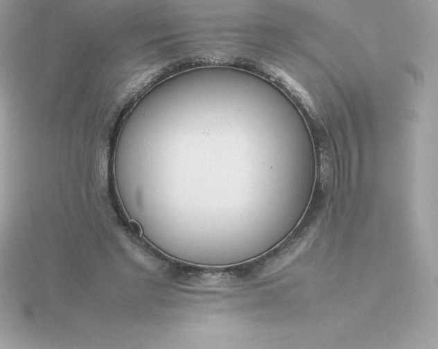 X0000115720493200911251920