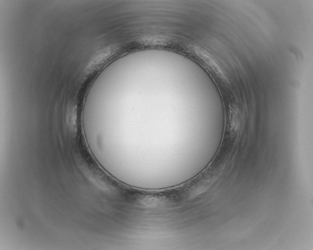 X0000115720494200911251920