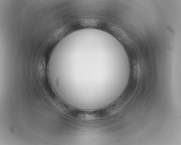 X0000115720498200911251920