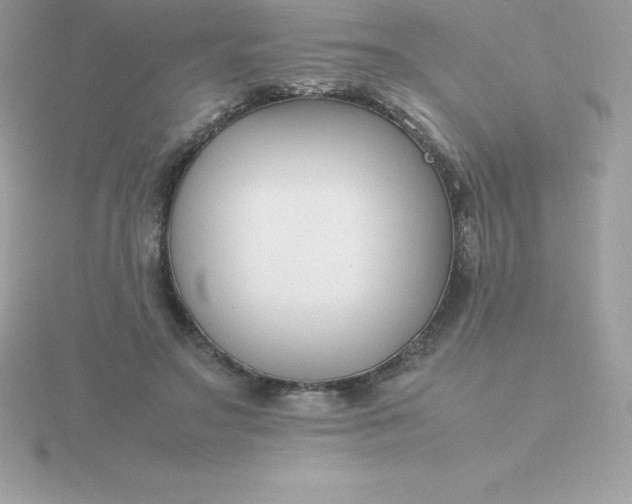 X0000115720499200911251920