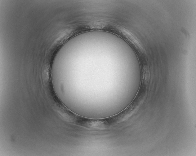 X0000115720501200911251920