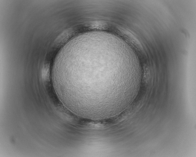 X0000115720502200911251920