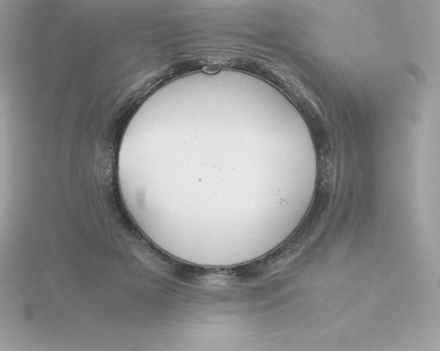 X0000115720505200911251920