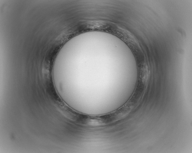 X0000115720510200911251920