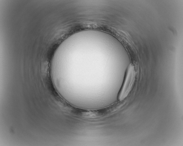 X0000115720511200911251920