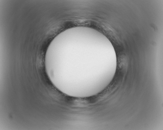 X0000115720515200911251920
