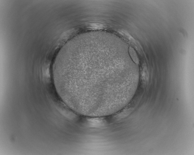 X0000115720516200911251919