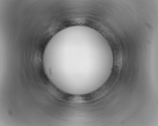 X0000115720518200911251919