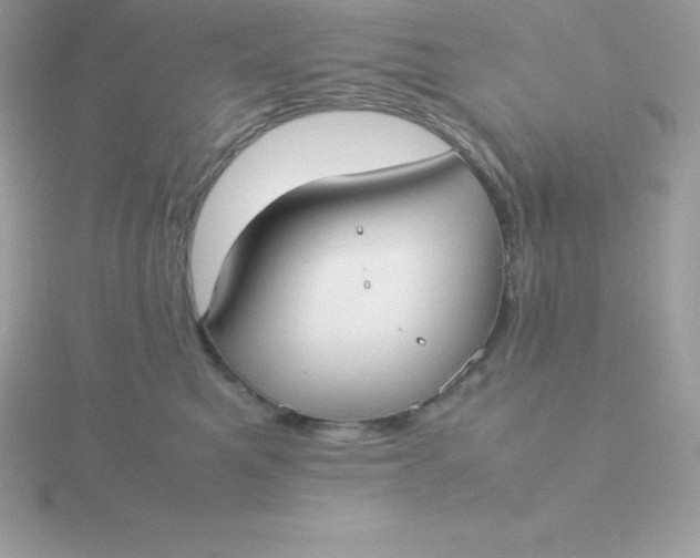 X0000115720521200911251919