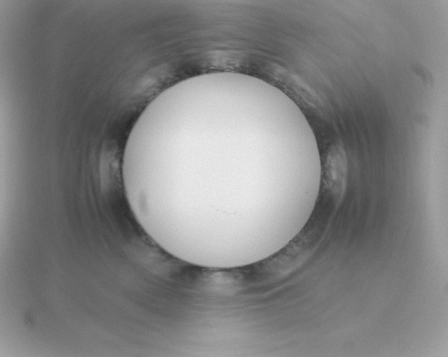 X0000115720522200911251919
