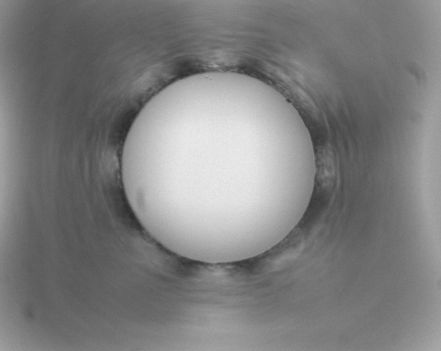 X0000115720523200911251919