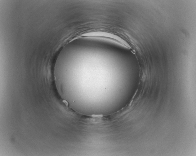 X0000115720524200911251919