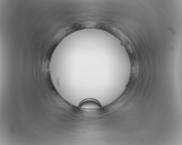 X0000115720525200911251919